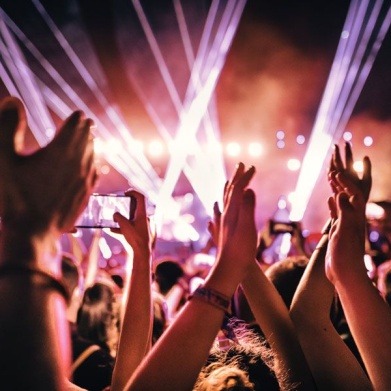 Suspendisse viverra vehicula