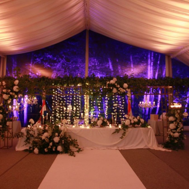 Ambijentalno bojanje prostora